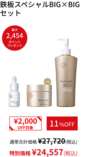 鉄板スペシャルBIG&times;BIGセット