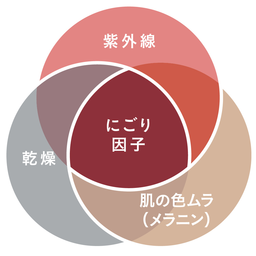 にごり因子　紫外線　乾燥　肌の色ムラ（メラニン）