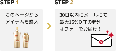 step1 このページからアイテムを購入 step2 30日以内にメールにて最大15%OFFの特別オファーをお届け!