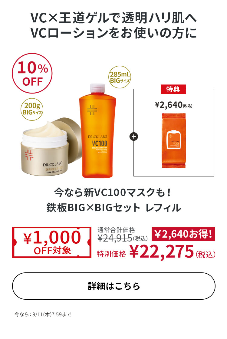 今なら新VC100マスクも！鉄板BIG×BIGセット レフィル