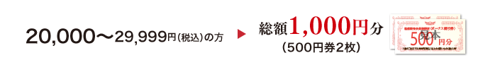 20,000〜39,999円（税込）の方　総額1,000円分（500円券2枚）