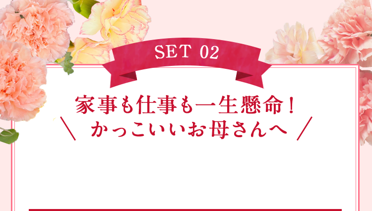 SET 02 家事も仕事も一生懸命！かっこいいお母さんへ