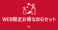 WEB限定お得なBIGセット