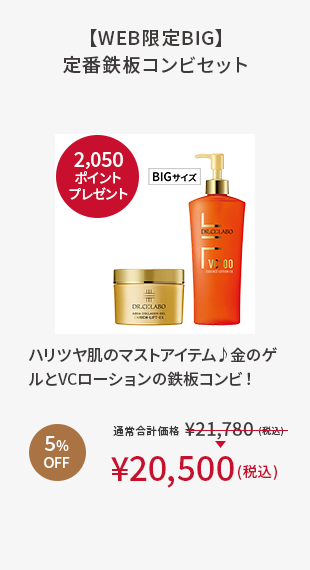 【WEB限定BIG】定番鉄板コンビセット