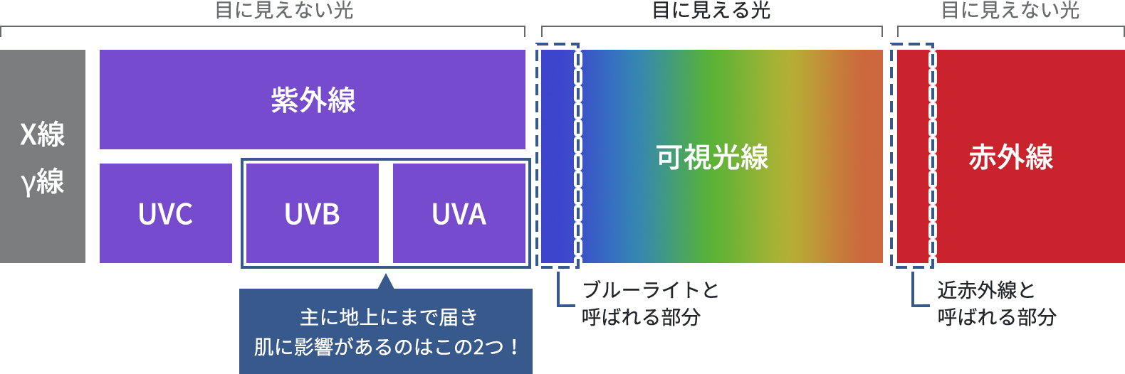 紫外線のUVAとUVBは、地上にまで届き、肌に影響を引き起こします