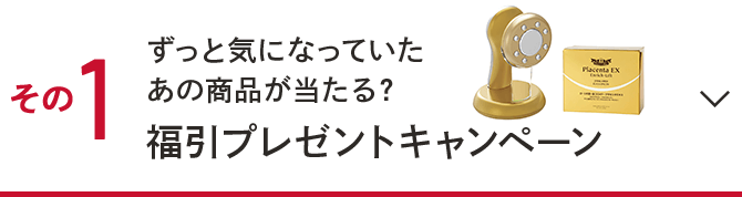 その1.ずっと気になっていたあの商品が当たる？福引プレゼントキャンペーン