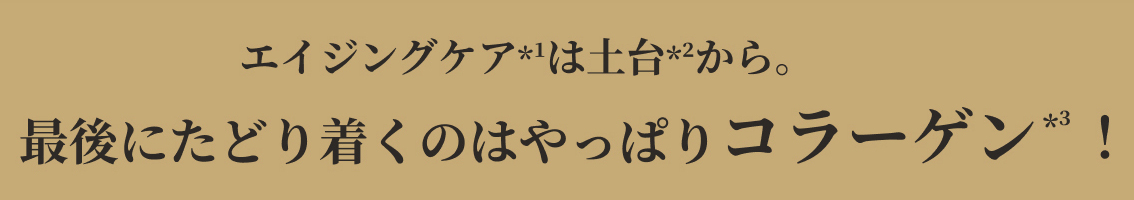 凛と上向き。自信に満ちるハリ肌へ。 アクアコラーゲンゲルエンリッチリフトEX