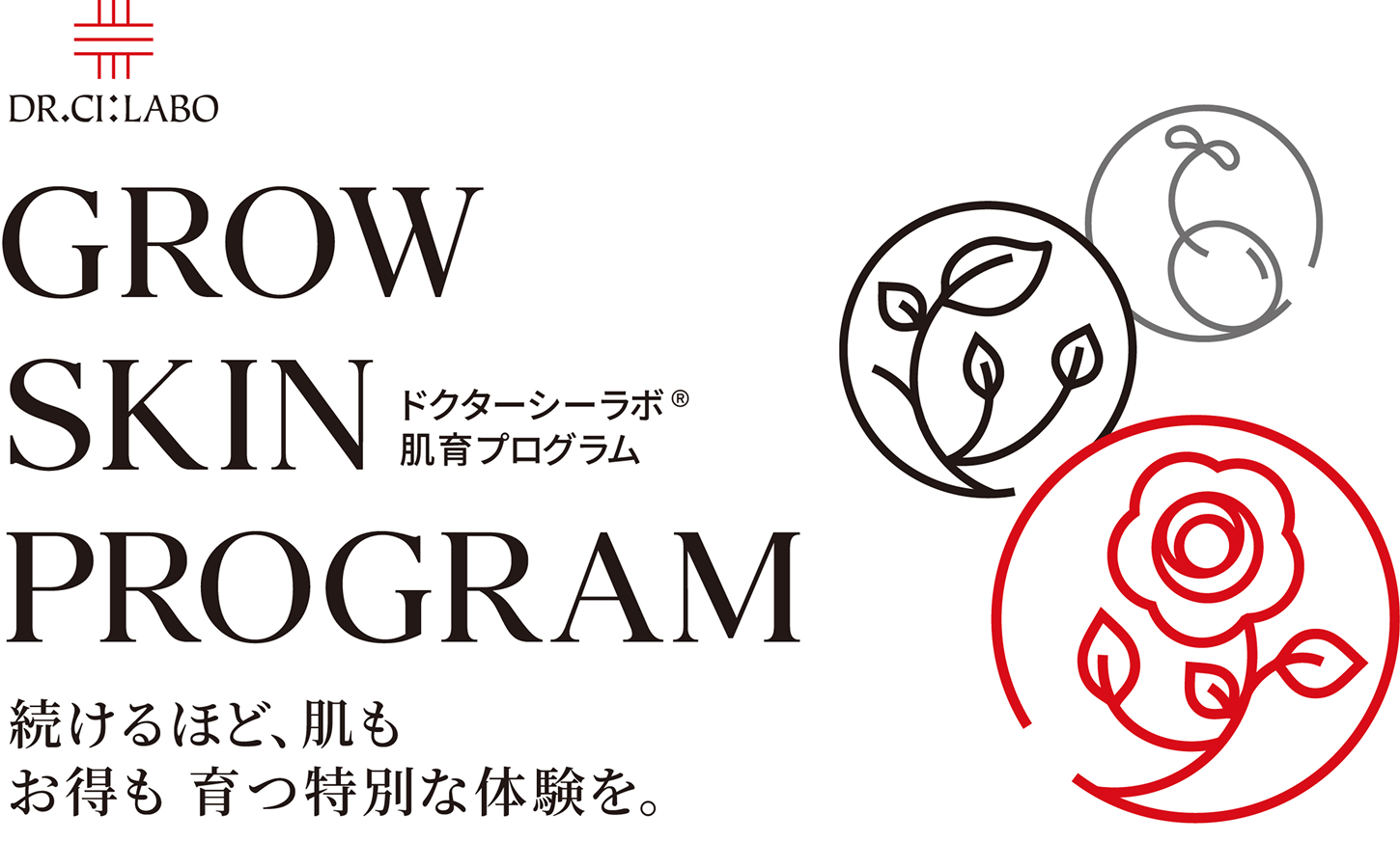 GROW SKIN PROGRAM