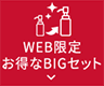 WEB限定お得なBIGセット