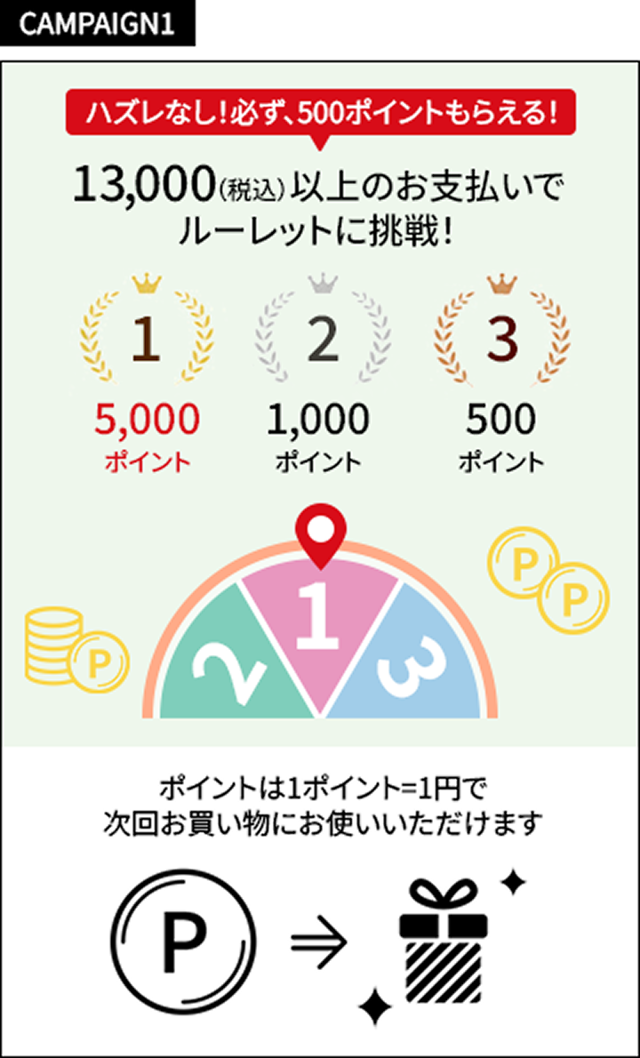 CAMPAIGN1