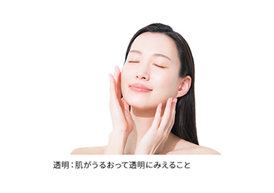 弾むハリ・透明感高まる肌へ ※角層図（イメージ）