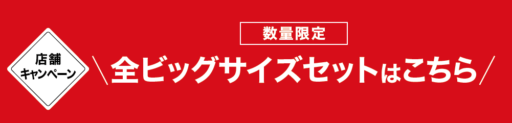 【店頭キャンペーン】数量限定　全ビッグサイズセットはこちら