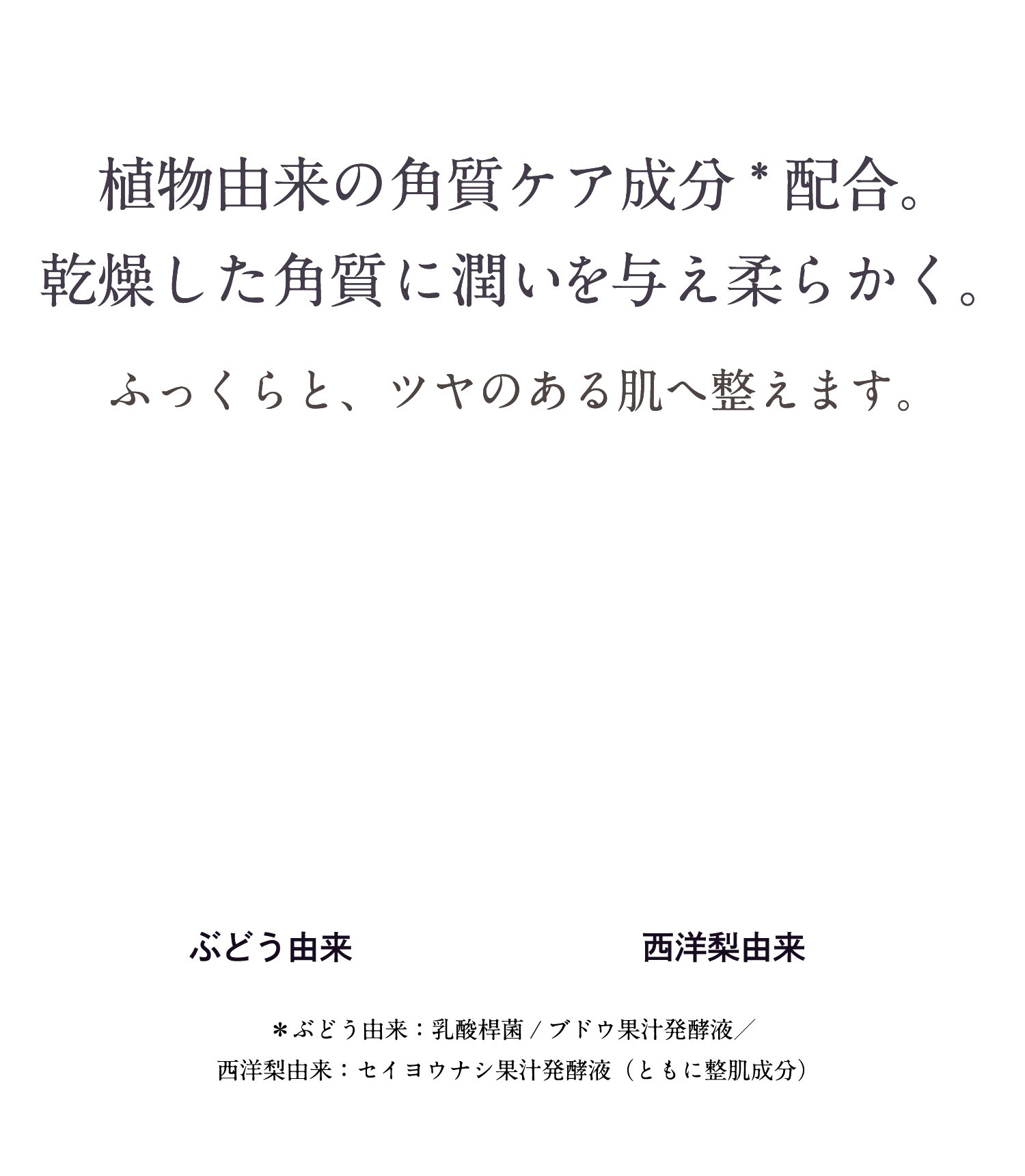 植物由来の角質ケア成分配合。完走した角質にうるおいを与え柔らかく。ふっくらと、ツヤのある肌へ整えます。