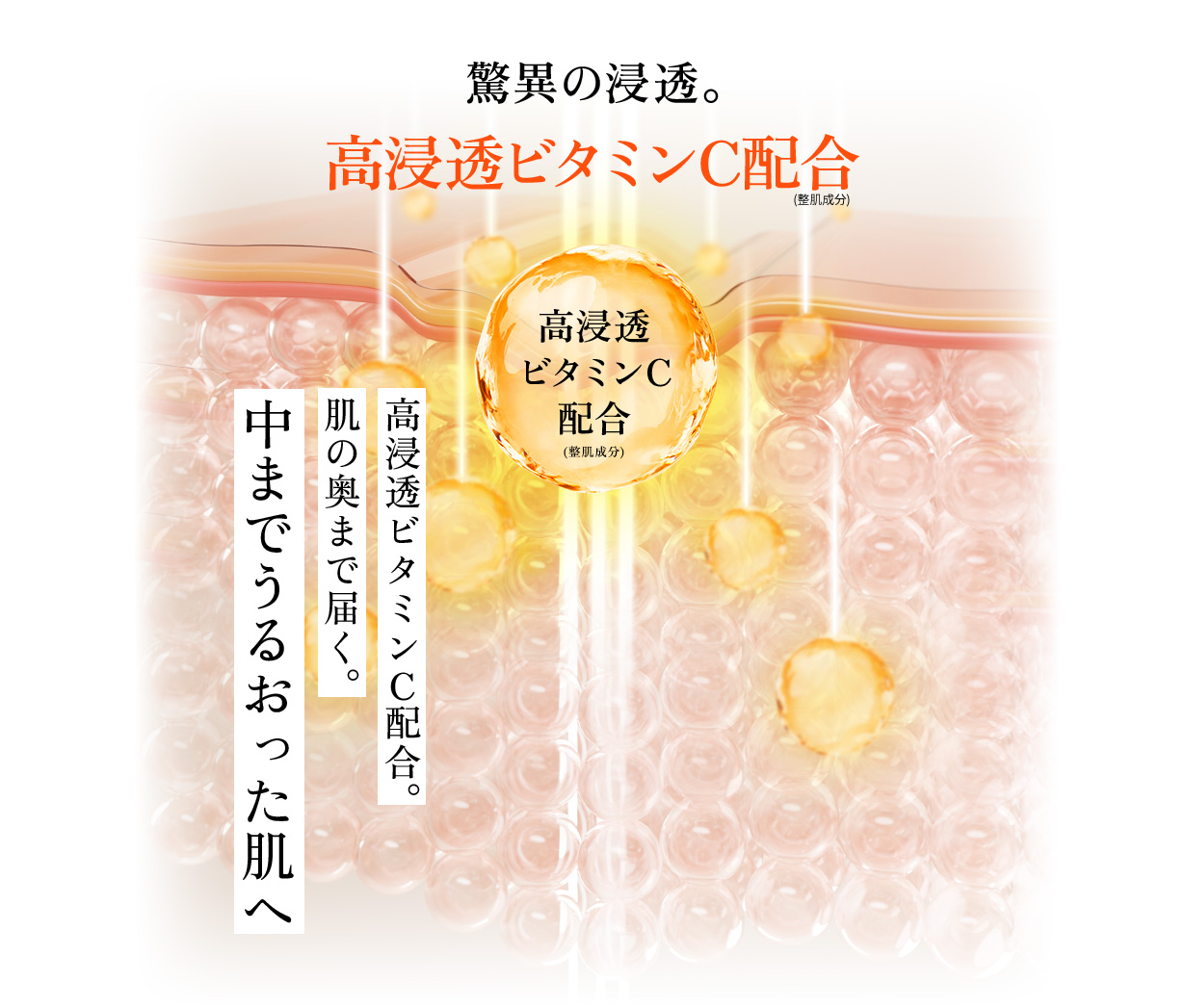 驚異の浸透。高浸透ビタミンC配合(整肌成分) 高浸透ビタミンC配合。肌の奥まで届く。中までうるおった肌へ。