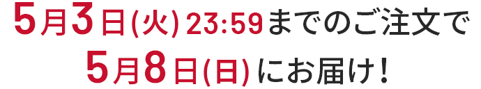 5月3日(火)23:59までのご注文で5月8日(日)にお届け!