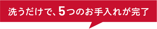 洗うだけで、5つのお手入れが完了