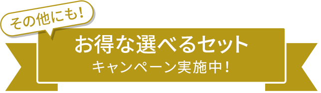 その他にも！お得な選べるセットキャンペーン実施中！
