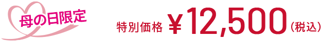 母の日限定 特別価格 12,500円(税込)