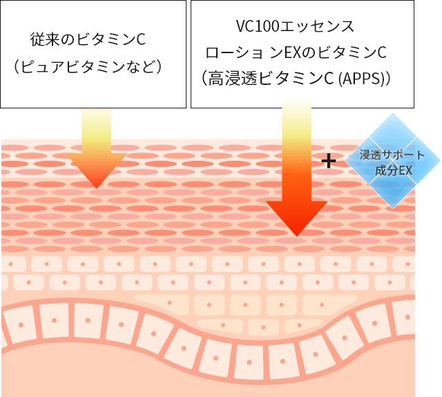 浸透サポート成分EXのイメージ