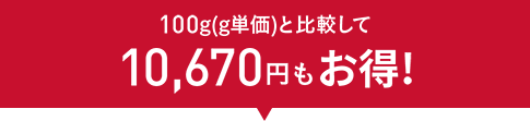 100g(g単価)と比較して10,670円もお得！