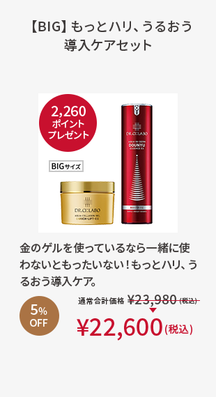 【BIG】もっとハリ、うるおう導入ケアセット