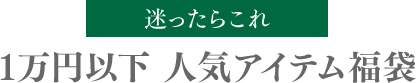 迷ったらこれ1万円以下 人気アイテム福袋 