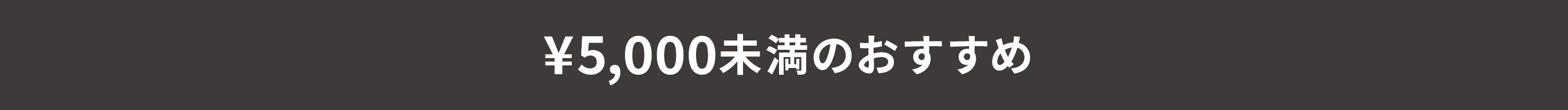 ¥5,000未満のおすすめ