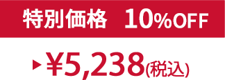 特別価格10%OFF ¥5,238(税込)