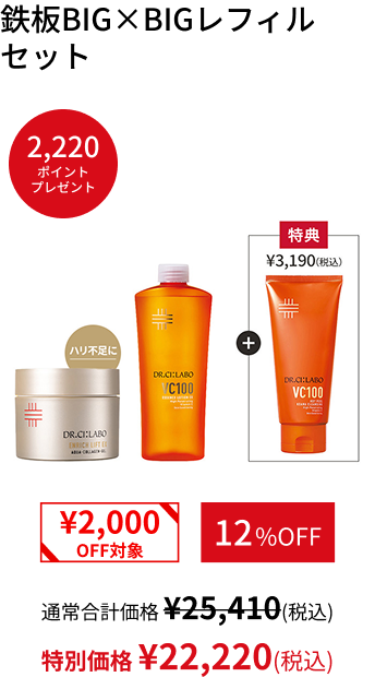 鉄板BIG&times;BIGレフィルセット