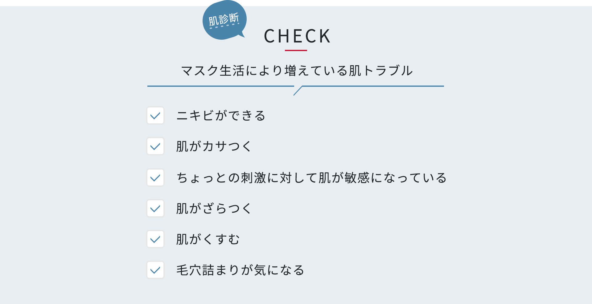 肌診断チェックリスト