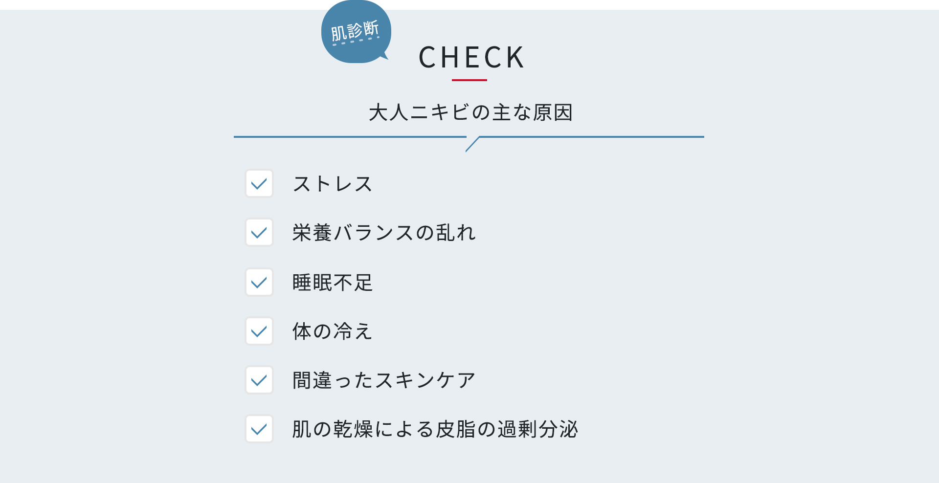 肌診断 CHECK 大人ニキビの主な原因表