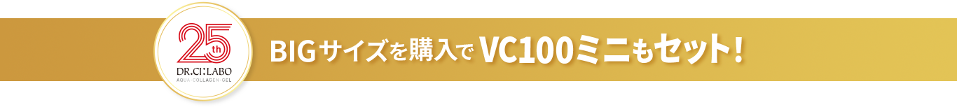 BIGサイズを購入でVC100ミニもセット！