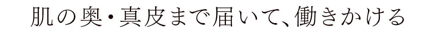 肌の奥・真皮まで届いて、働きかける