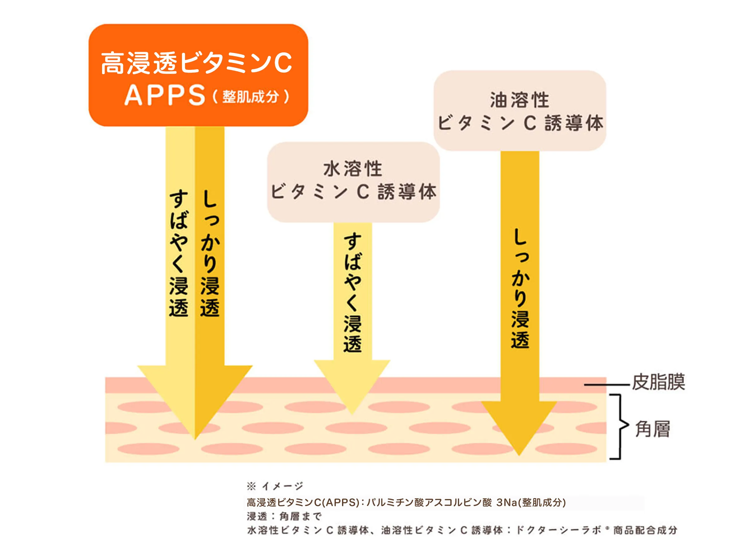 ビタミンCの種類