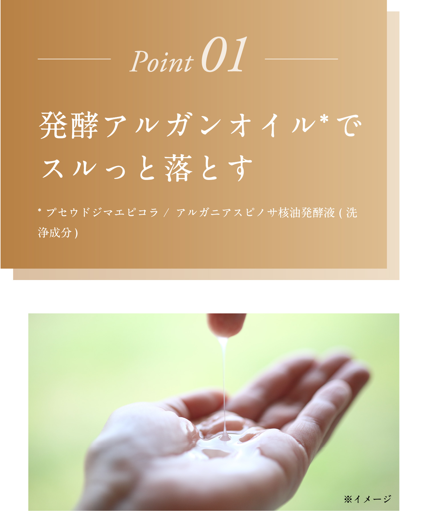 発行アルガンオイルでスルッと落とす