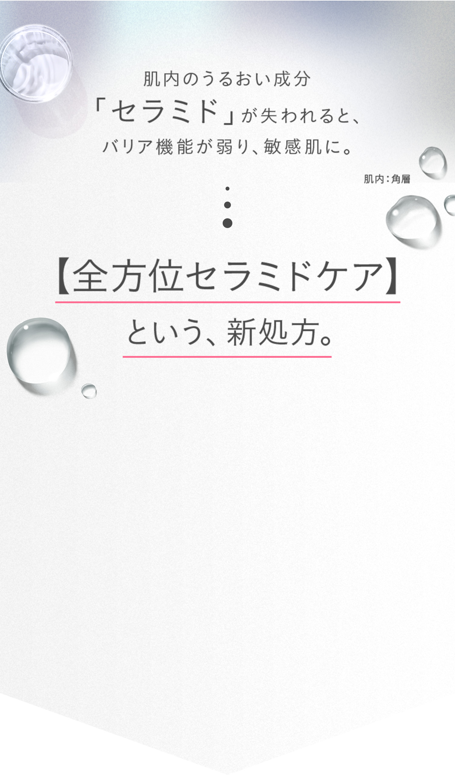 敏感肌研究25年。満を持して初登場。敏感肌特化化粧水