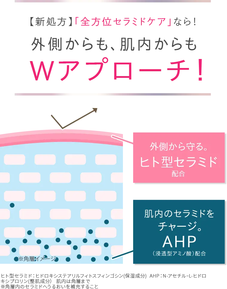Wアプローチ