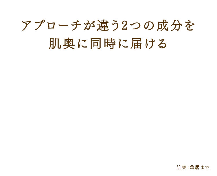 互いに補い合う2大成分がこれ1本に 純粋レチノール(整肌成分) ハリ・弾力 高浸透ビタミンC APPS(整肌成分) うるおい・毛穴 キメ・くすみ 肌内側：角層　純粋レチノール：レチノール(整肌成分)　ビタミンC：バルミチン酸アスコルビルリン酸Na(整肌成分)　透明：肌がうるおって透明に見えること　くすみ：乾燥、うるおい不足によりキメが乱れ、くすんで見えること　毛穴：うるおい不足による毛穴の目立ち