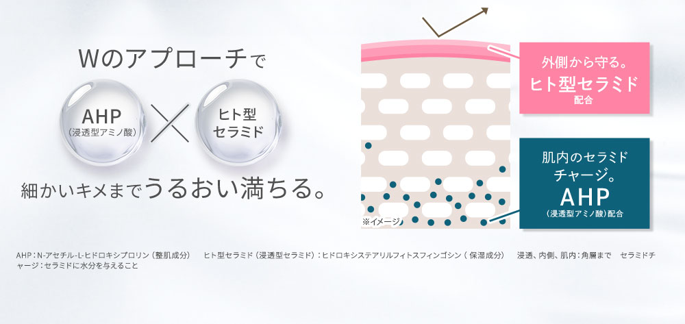 「AHP(浸透型アミノ酸)」×「ヒト型セラミド」Wアプローチで細かいキメまでうるおい満ちる。