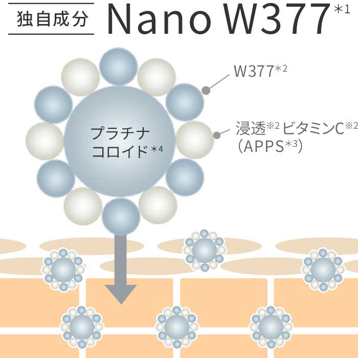 独自成分　Nano W377 イメージ図