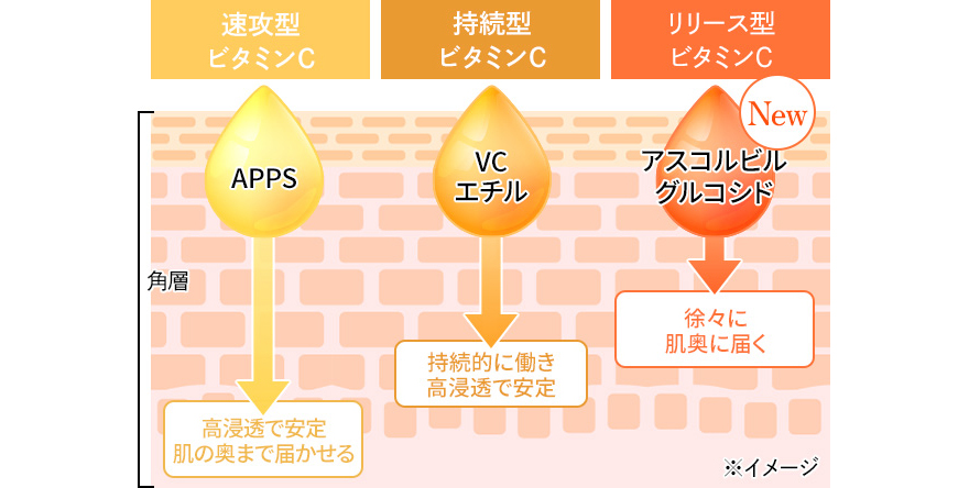 新ダブルリペアセラムの秘密01 3種のビタミンCを厳選 VC100シリーズ ビタミンC最高濃度配合 ビタミンCのそれぞれの特徴を活かし「より速く、肌内に」「より長く」「より安定」のトリプルアプローチ。
