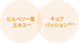 ビルベリー葉エキス キュアパッション