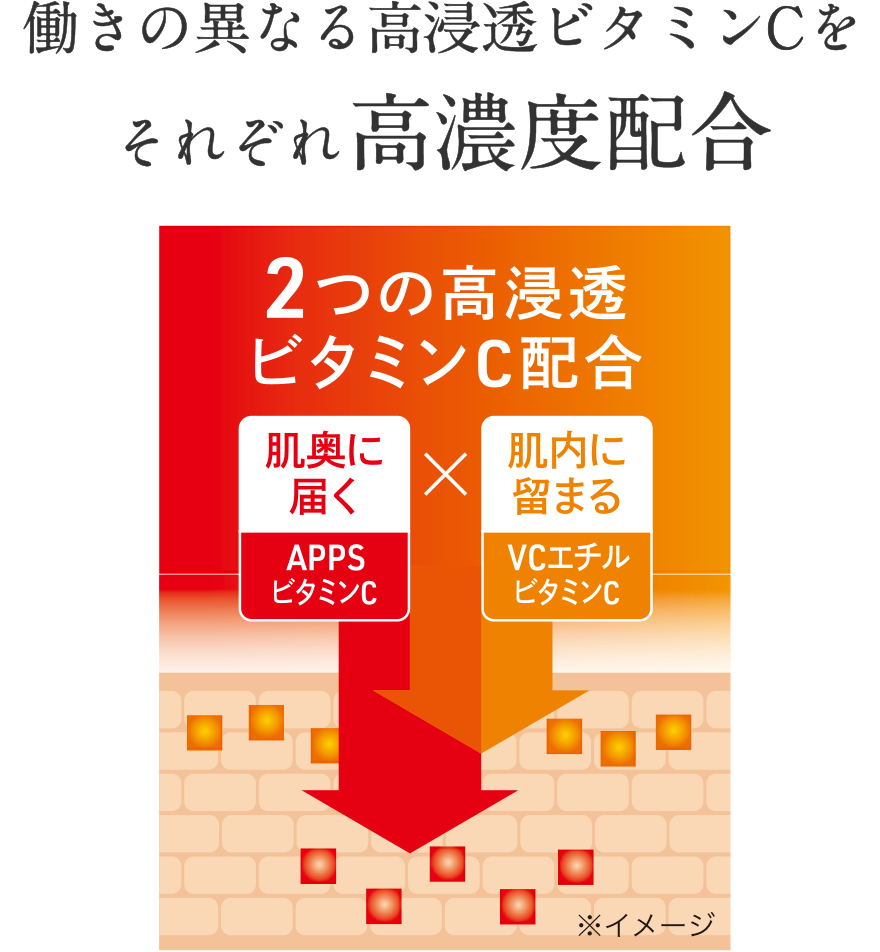 働きの異なる高浸透ビタミンCをそれぞれ高濃度配合