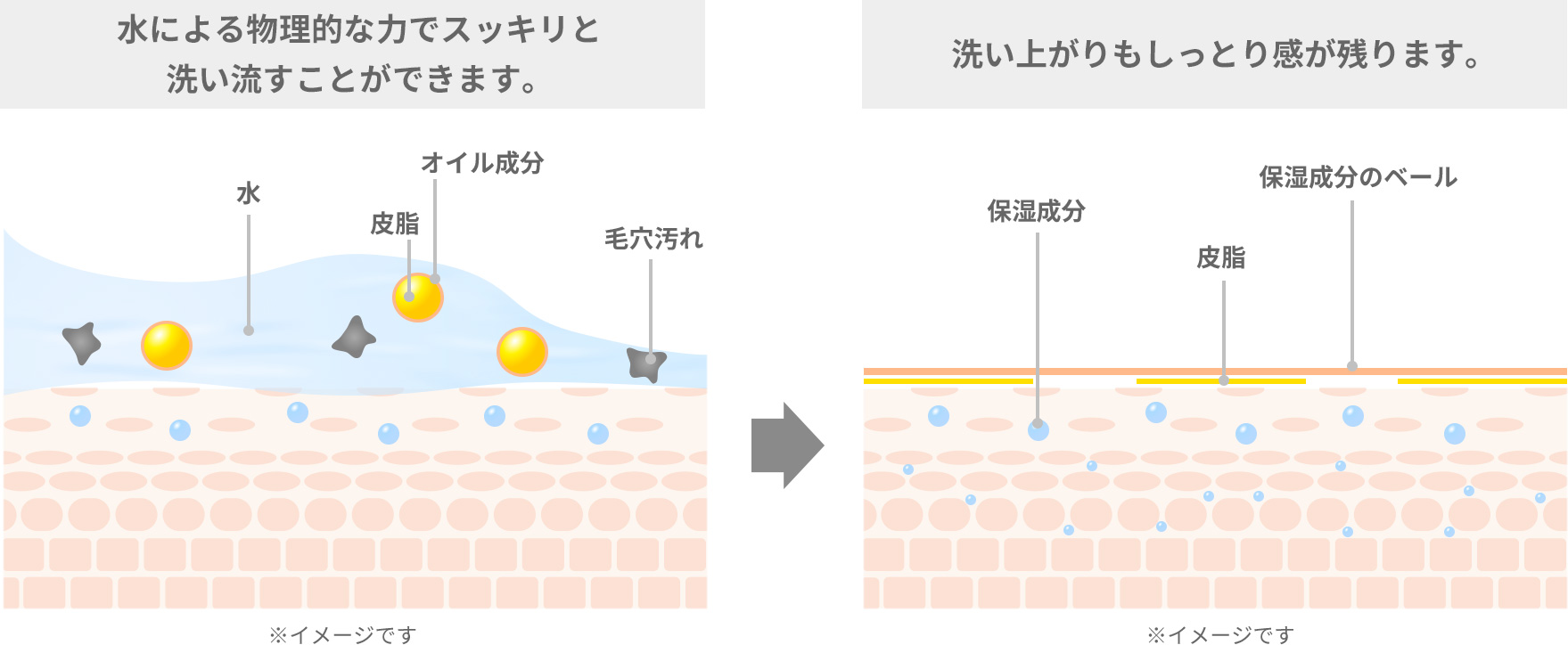 水による物理的な力でスッキリと 洗い流すことができます。洗い上がりもしっとり感が残ります。