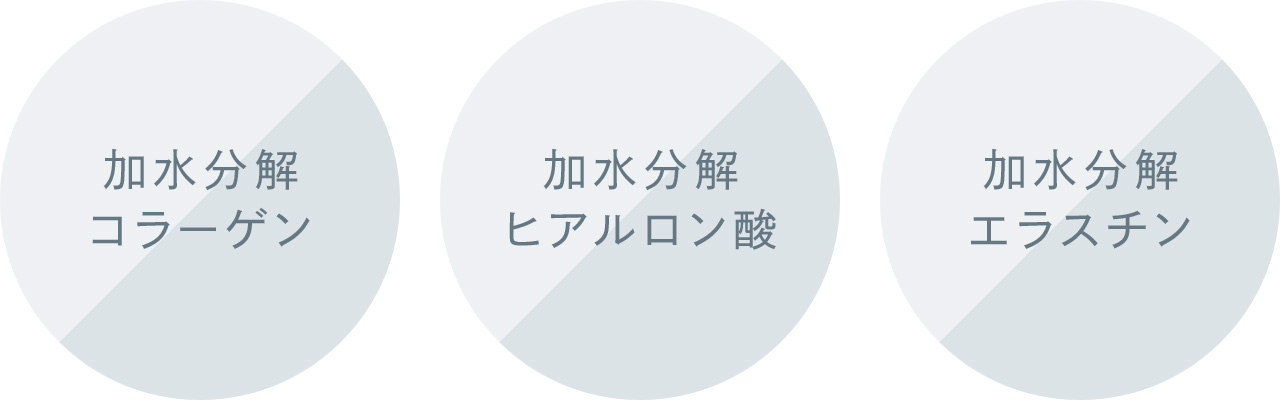 加水分解コラーゲン 加水分解ヒアルロン酸 加水分解エラスチン