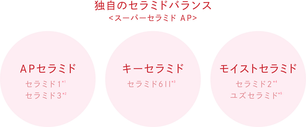 独自のセラミドバランス<スーパーセラミド AP>
APセラミド:セラミド1*2 セラミド3*3
キーセラミド:セラミド611*4
モイストセラミド:セラミド2*5 ユズセラミド*6