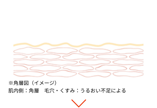 肌内側のハリ・弾力、 肌表面のうるおい・毛穴・キメ・くすみが 気になる肌に ※角層図（イメージ） 肌内側：角層　毛穴・くすみ：うるおい不足による