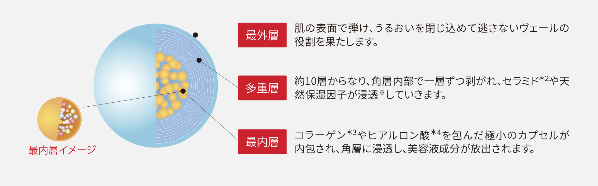 最外層:肌の表面で弾け、うるおいを閉じ込めて逃さないヴェールの役割を果たします。
多重層:約10層からなり、角層内部で一層ずつ剥がれ、セラミド*2や天然保湿因子が浸透していきます。
最内層:コラーゲン*3やヒアルロン酸*4を包んだ極小のカプセルが内包され、角層に浸透し、美容成分が放出されます。
