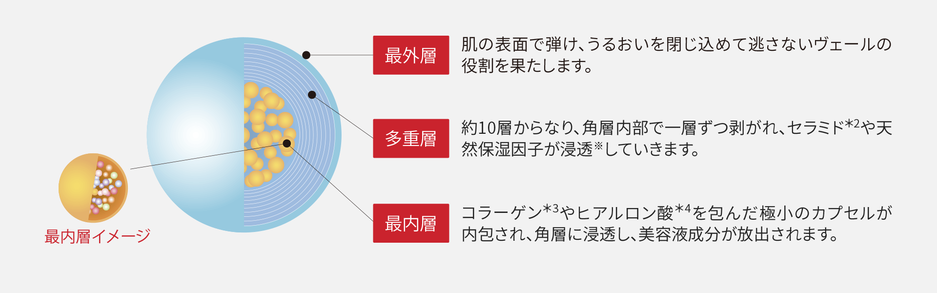  最外層：肌の表面で弾け、うるおいを閉じ込めて逃さないヴェールの役割を果たします。 多重層：約１０層からなり、角層内部で一層ずつ剥がれ、セラミド*2や天然保湿因子が浸透していきます。 最内層：コラーゲン*3やヒアルロン酸*4を包んだ極小のカプセルが内包され、角層に浸透し、美容成分が放出されます。 