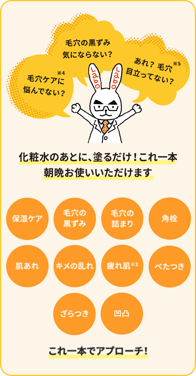 保湿ケア　毛穴の黒ずみ　毛穴の詰まり　角栓　肌あれ　キメの乱れ　疲れ肌　べたつき　ざらつき　凹凸　これ一本でアプローチ！